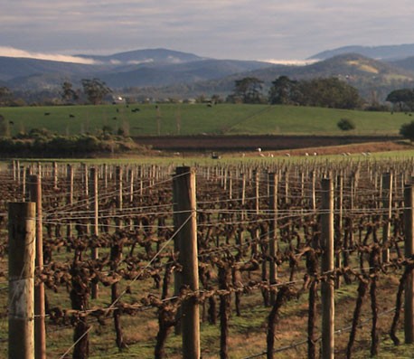 ddos压力在线测试平台